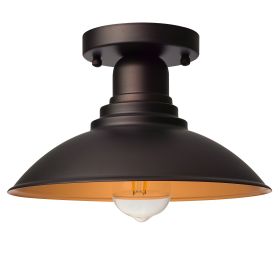 1 Light ceiling fixture (Pack: 1 Pack, Color: ORB w/Gold)